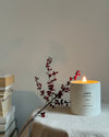 "GREEN TEA" candle with green tea scent (240g)